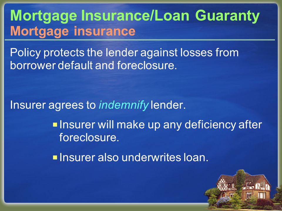Mortgage Insurance/Loan Guaranty Policy protects the lender against losses from borrower default and foreclosure.