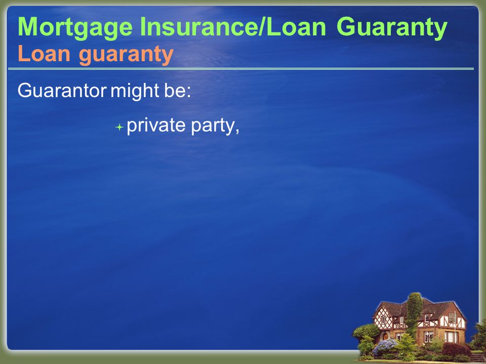 Mortgage Insurance/Loan Guaranty Guarantor might be:  private party, Loan guaranty