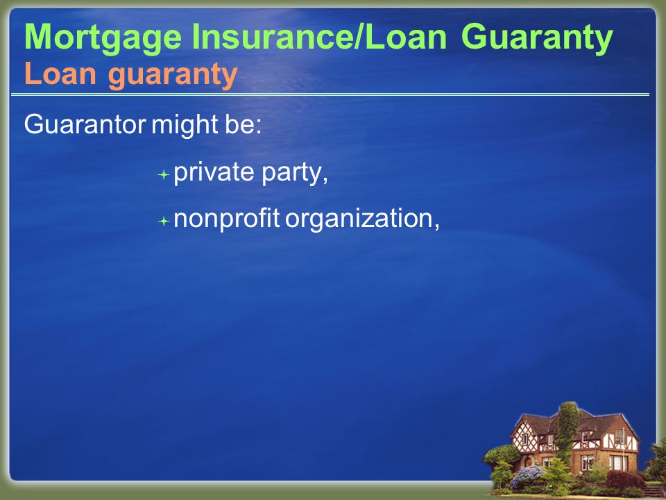 Mortgage Insurance/Loan Guaranty Guarantor might be:  private party,  nonprofit organization, Loan guaranty