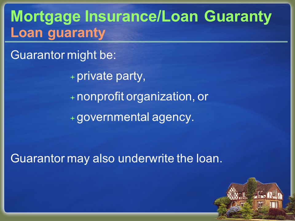 Mortgage Insurance/Loan Guaranty Guarantor might be:  private party,  nonprofit organization, or  governmental agency.