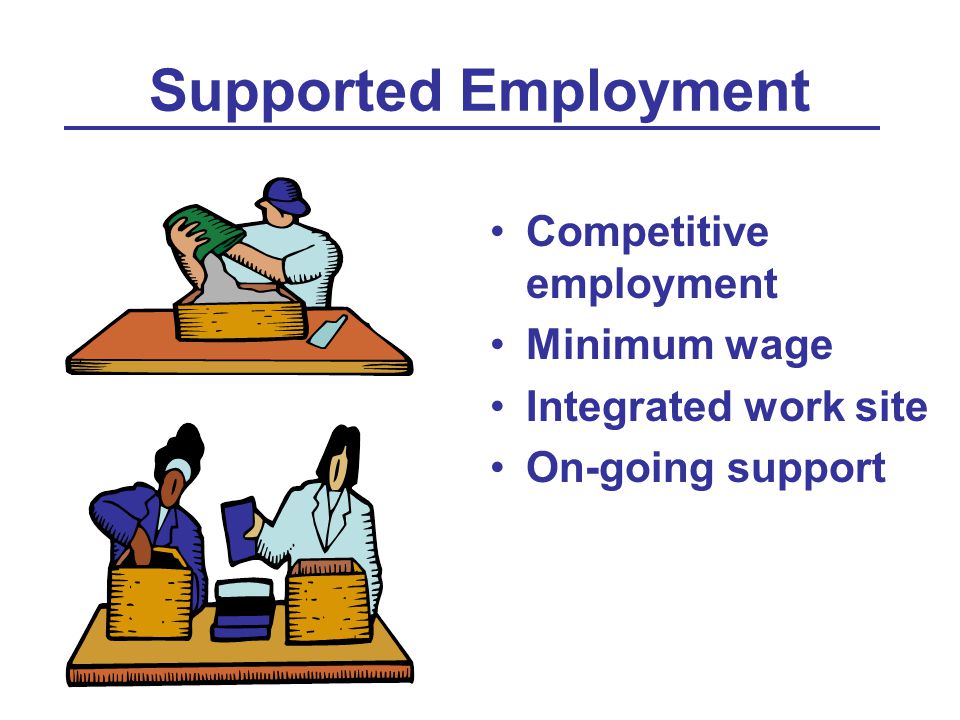 Supported Employment Competitive employment Minimum wage Integrated work site On-going support