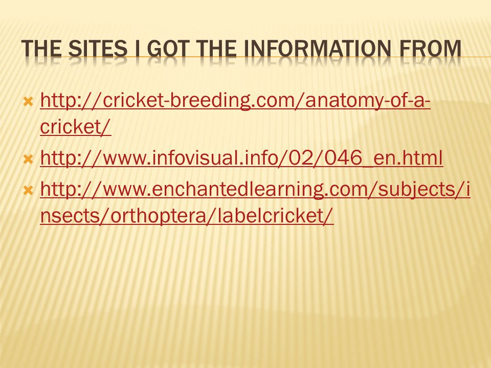    cricket/   cricket/         nsects/orthoptera/labelcricket/   nsects/orthoptera/labelcricket/