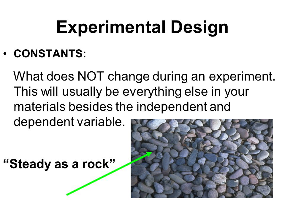 Experimental Design CONSTANTS: What does NOT change during an experiment.