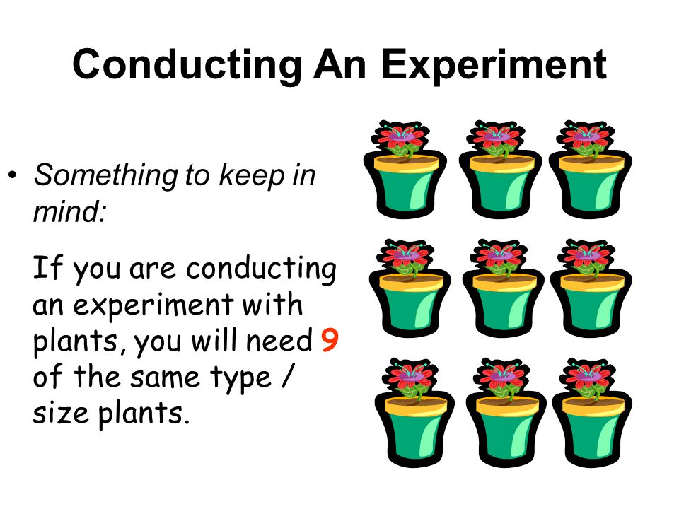Conducting An Experiment Something to keep in mind: If you are conducting an experiment with plants, you will need 9 of the same type / size plants.