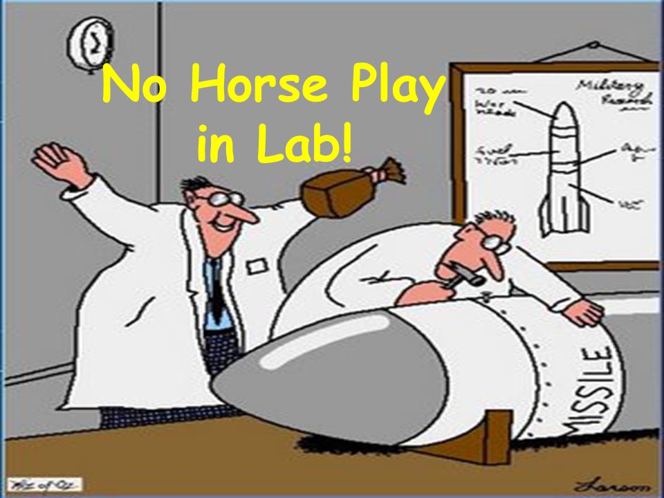 No Horse Play in Lab!