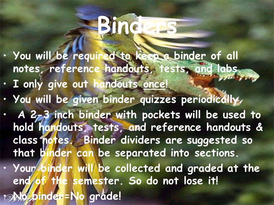 Binders You will be required to keep a binder of all notes, reference handouts, tests, and labs.