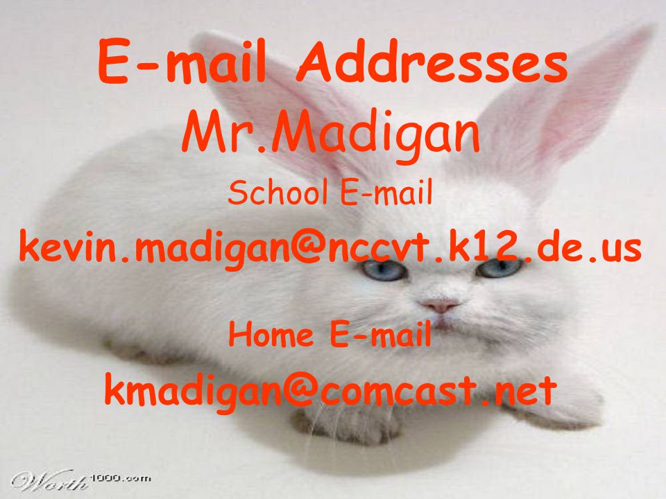 Addresses Mr.Madigan School  Home