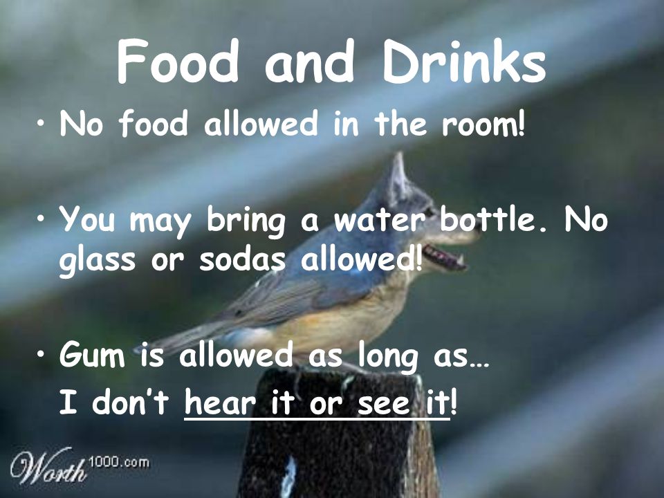 Food and Drinks No food allowed in the room. You may bring a water bottle.