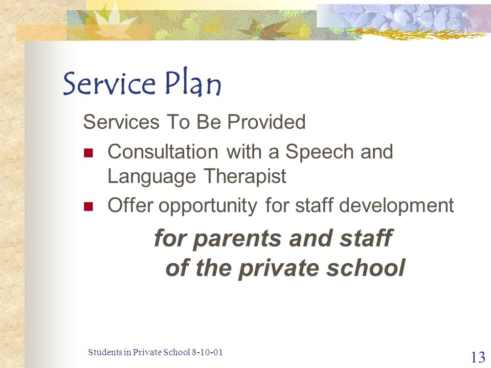 Students in Private School Service Plan Services To Be Provided Consultation with a Speech and Language Therapist Offer opportunity for staff development for parents and staff of the private school