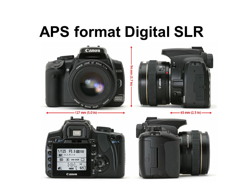APS format Digital SLR