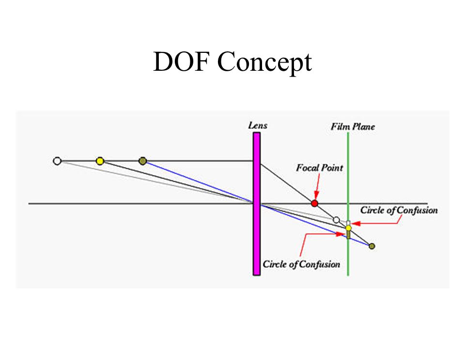 DOF Concept