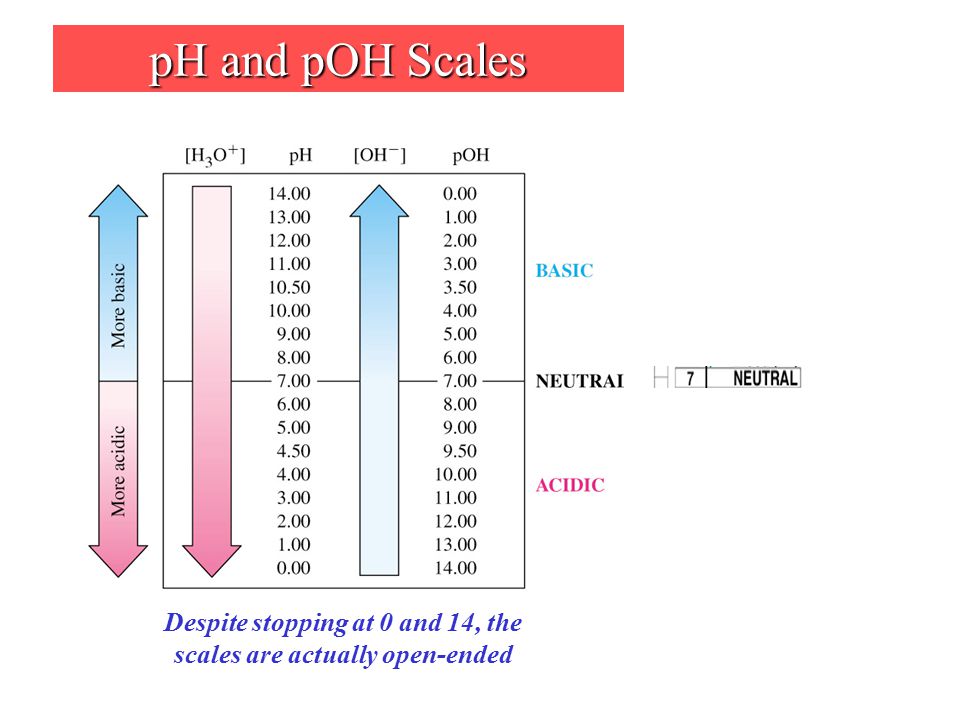 pH and pOH Scales Despite stopping at 0 and 14, the scales are actually open-ended