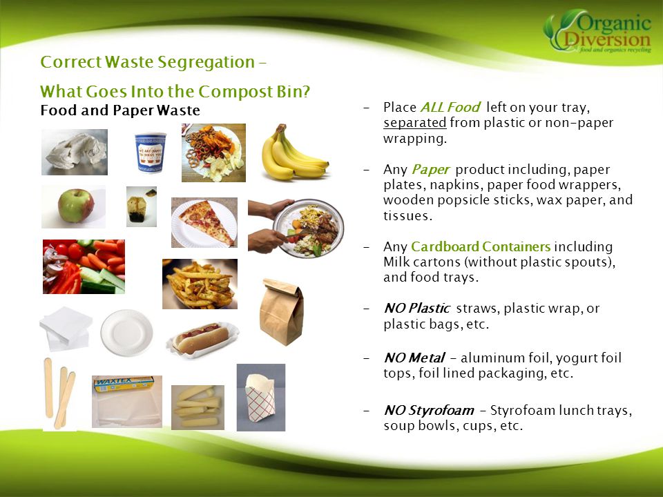 Correct Waste Segregation – What Goes Into the Compost Bin.