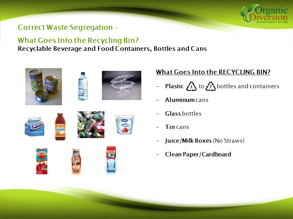 Correct Waste Segregation – What Goes Into the Recycling Bin.