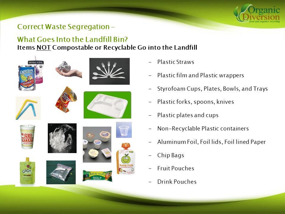 Correct Waste Segregation – What Goes Into the Landfill Bin.
