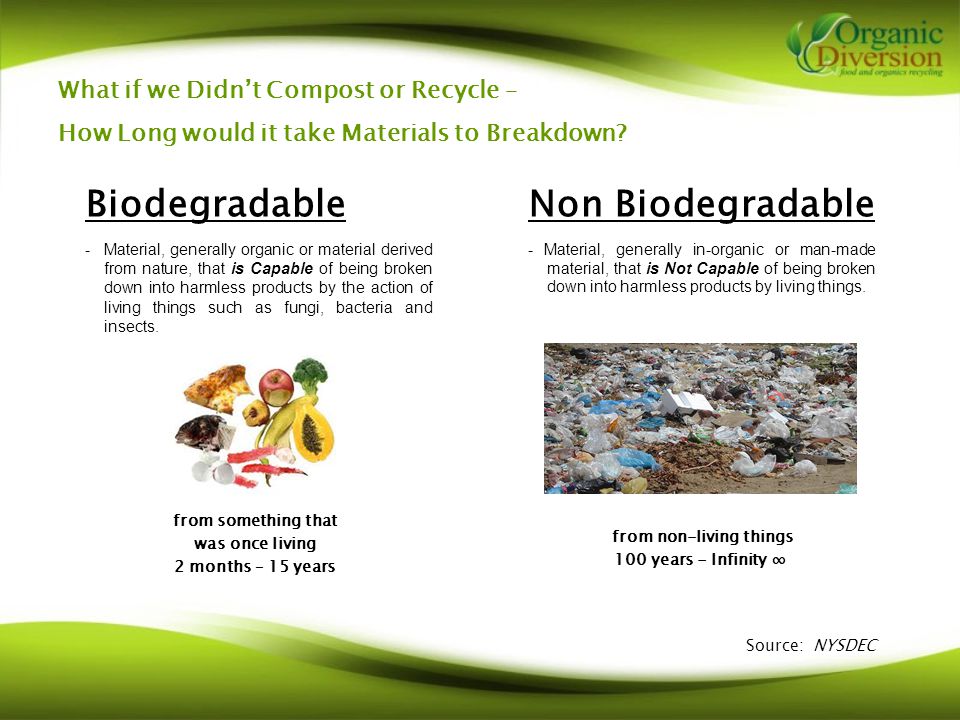 What if we Didn’t Compost or Recycle – How Long would it take Materials to Breakdown.