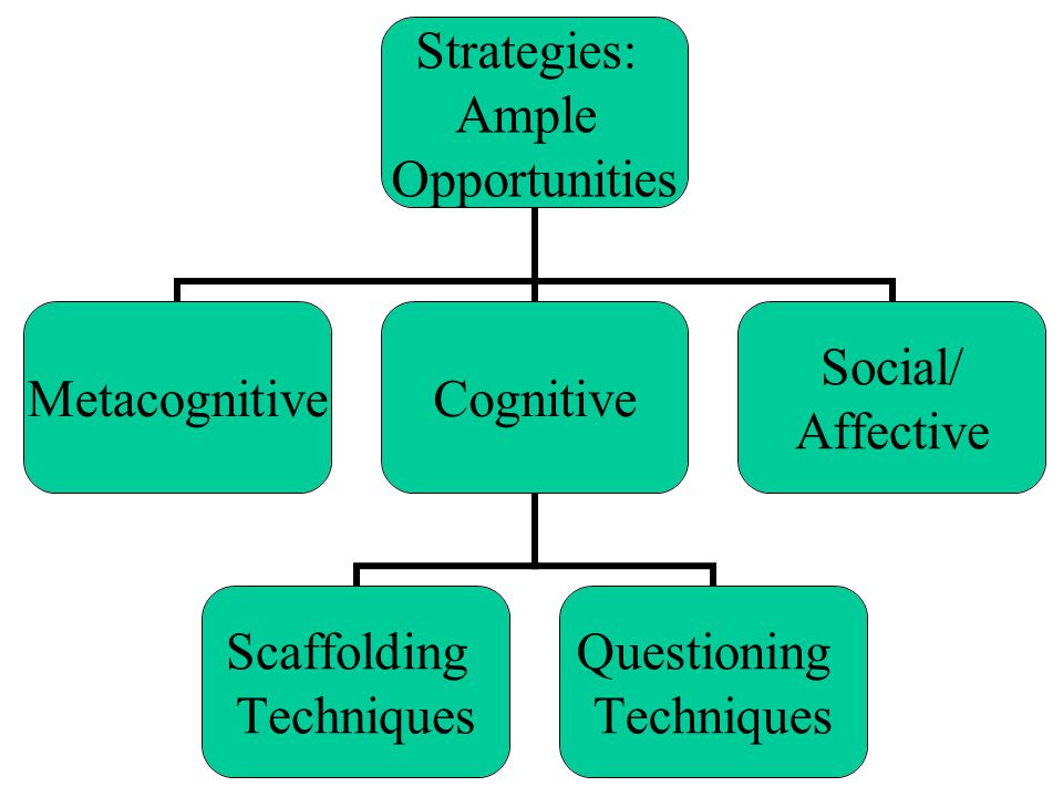Strategies: Ample Opportunities MetacognitiveCognitive Scaffolding Techniques Questioning Techniques Social/ Affective