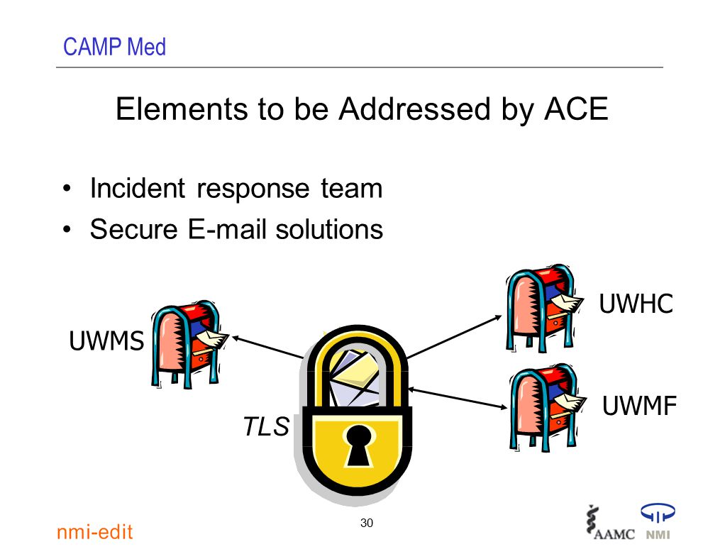 CAMP Med 30 Elements to be Addressed by ACE Incident response team Secure  solutions TLS UWMS UWMF UWHC