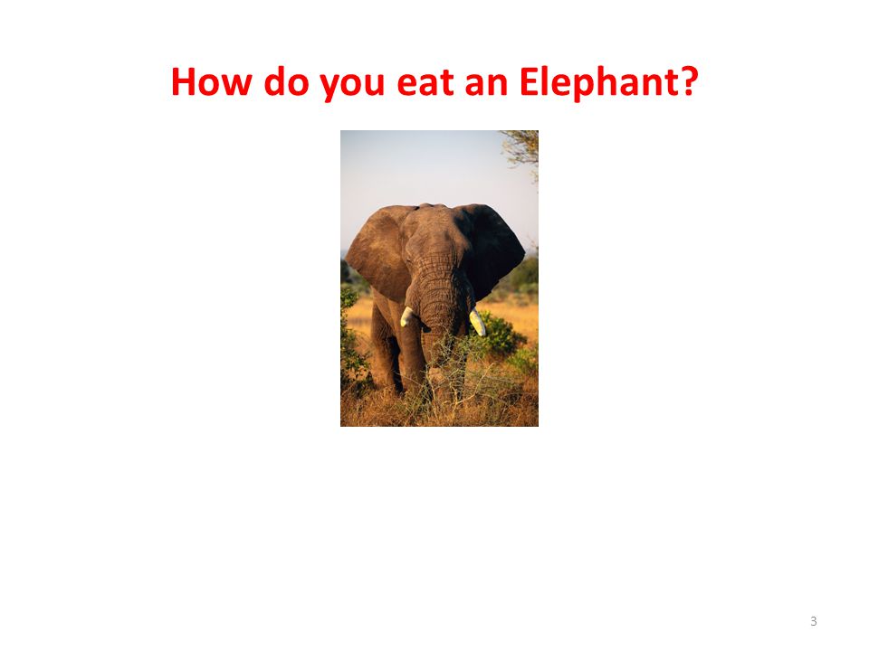 How do you eat an Elephant 3
