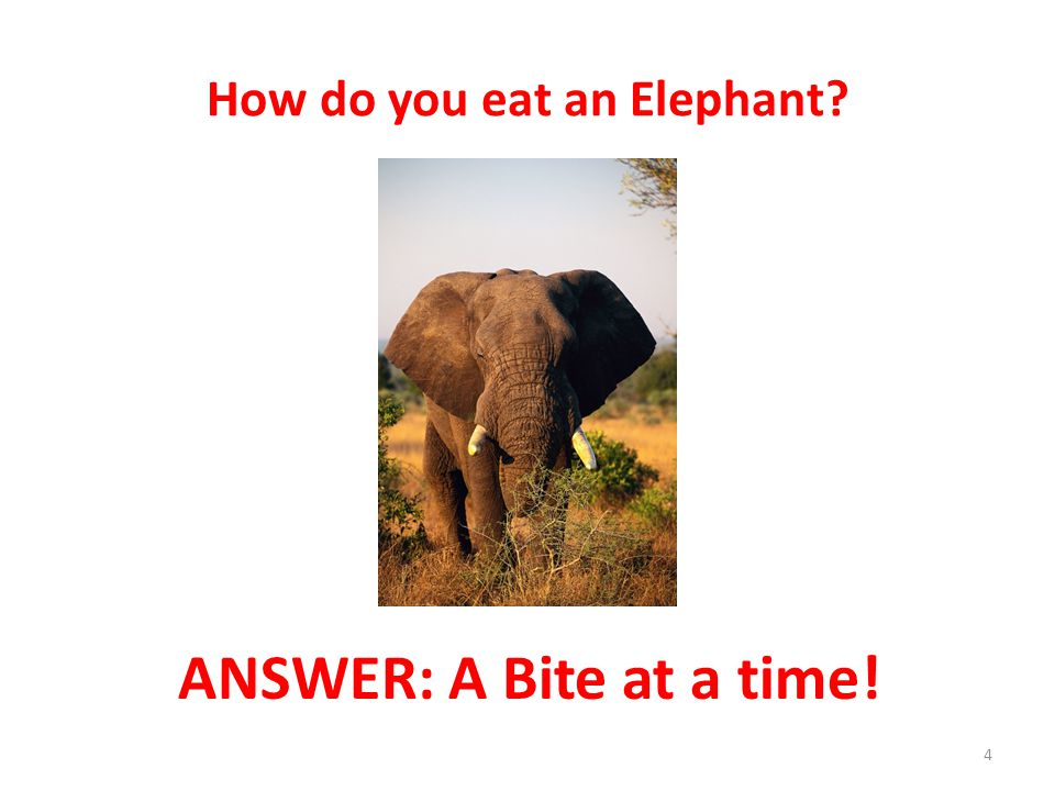 ANSWER: A Bite at a time! 4
