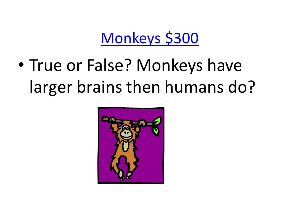 Monkeys $300 True or False Monkeys have larger brains then humans do
