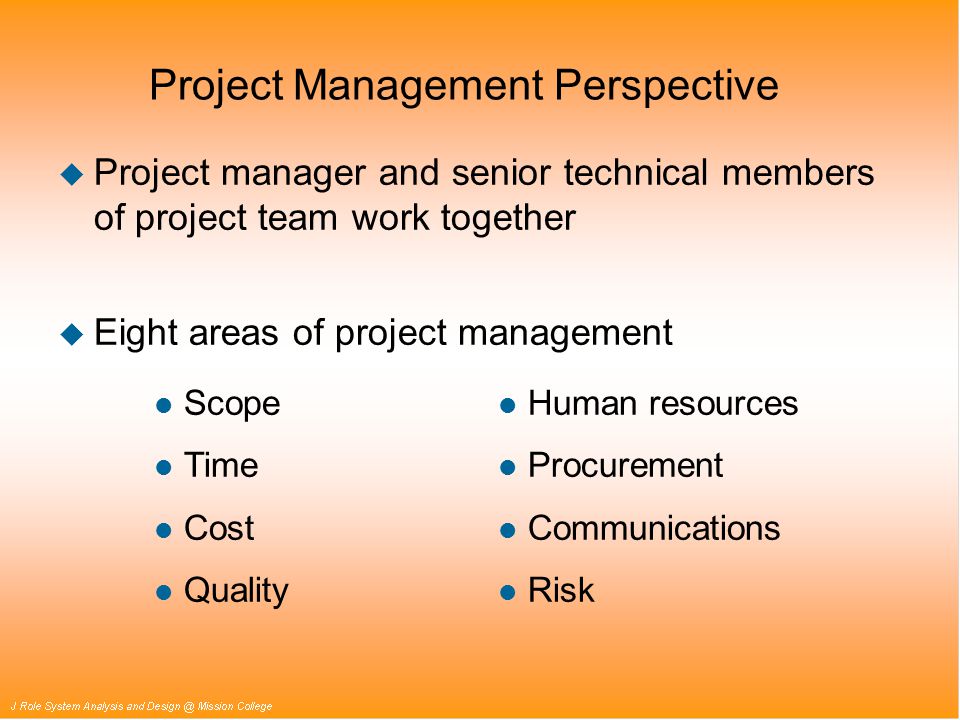 Project Management Perspective u Project manager and senior technical members of project team work together u Eight areas of project management l Human resources l Procurement l Communications l Risk l Scope l Time l Cost l Quality