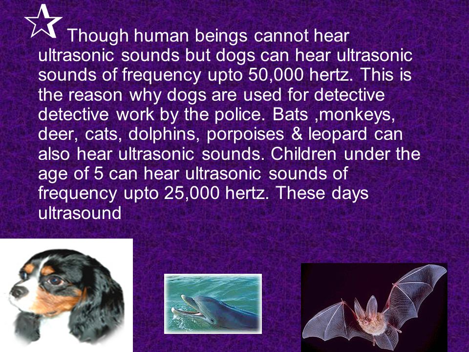 ULTRASONIC SOUND  The sounds having too high frequencies which cannot be  heard by human beings are called ultrasonic sound or ultrasound.  In  other. - ppt download