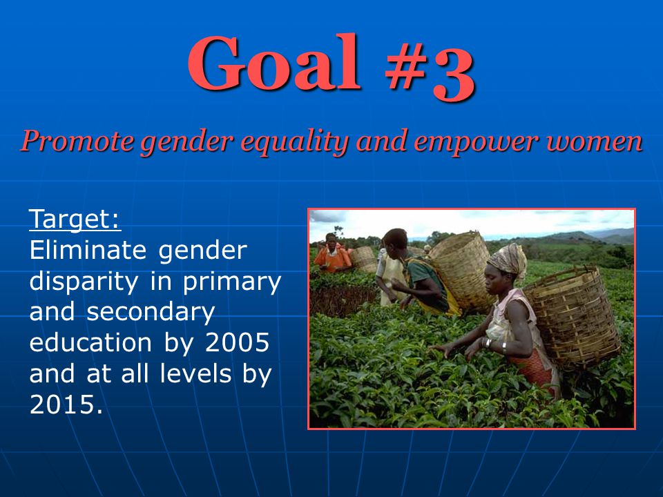 Goal #3 Promote gender equality and empower women Target: Eliminate gender disparity in primary and secondary education by 2005 and at all levels by 2015.