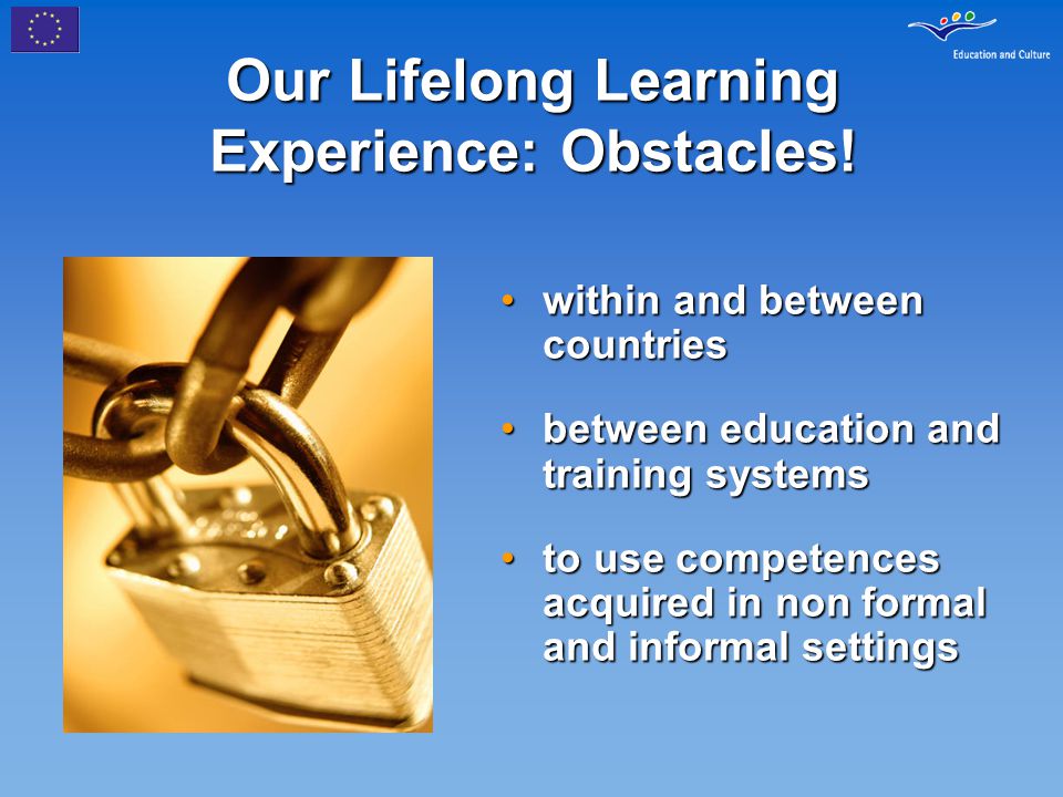 Our Lifelong Learning Experience: Obstacles.