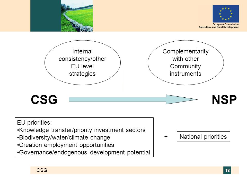 CSG 18 NSPCSG Internal consistency/other EU level strategies Complementarity with other Community instruments EU priorities: Knowledge transfer/priority investment sectors Biodiversity/water/climate change Creation employment opportunities Governance/endogenous development potential National priorities +