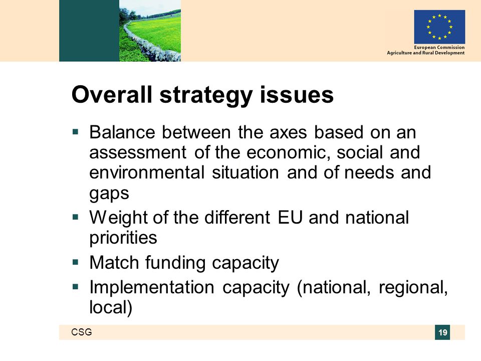 CSG 19 Overall strategy issues  Balance between the axes based on an assessment of the economic, social and environmental situation and of needs and gaps  Weight of the different EU and national priorities  Match funding capacity  Implementation capacity (national, regional, local)