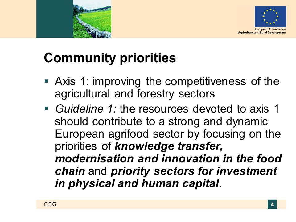 CSG 4 Community priorities  Axis 1: improving the competitiveness of the agricultural and forestry sectors  Guideline 1: the resources devoted to axis 1 should contribute to a strong and dynamic European agrifood sector by focusing on the priorities of knowledge transfer, modernisation and innovation in the food chain and priority sectors for investment in physical and human capital.