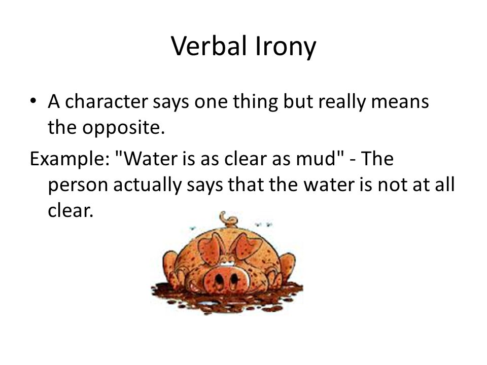 verbal irony definition literary term