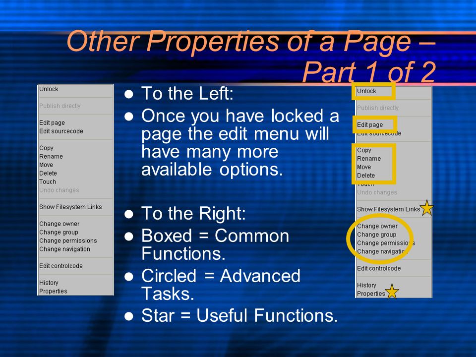 Other Properties of a Page – Part 1 of 2 To the Left: Once you have locked a page the edit menu will have many more available options.