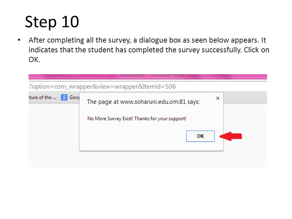 Step 10 After completing all the survey, a dialogue box as seen below appears.