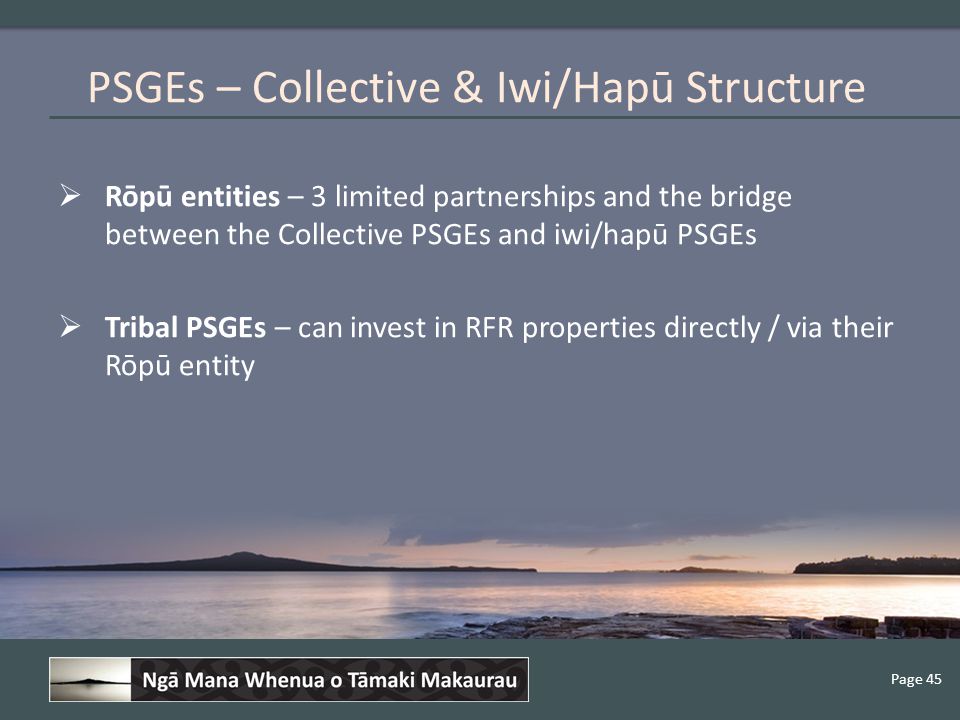 Page 45  Rōpū entities – 3 limited partnerships and the bridge between the Collective PSGEs and iwi/hapū PSGEs  Tribal PSGEs – can invest in RFR properties directly / via their Rōpū entity PSGEs – Collective & Iwi/Hapū Structure