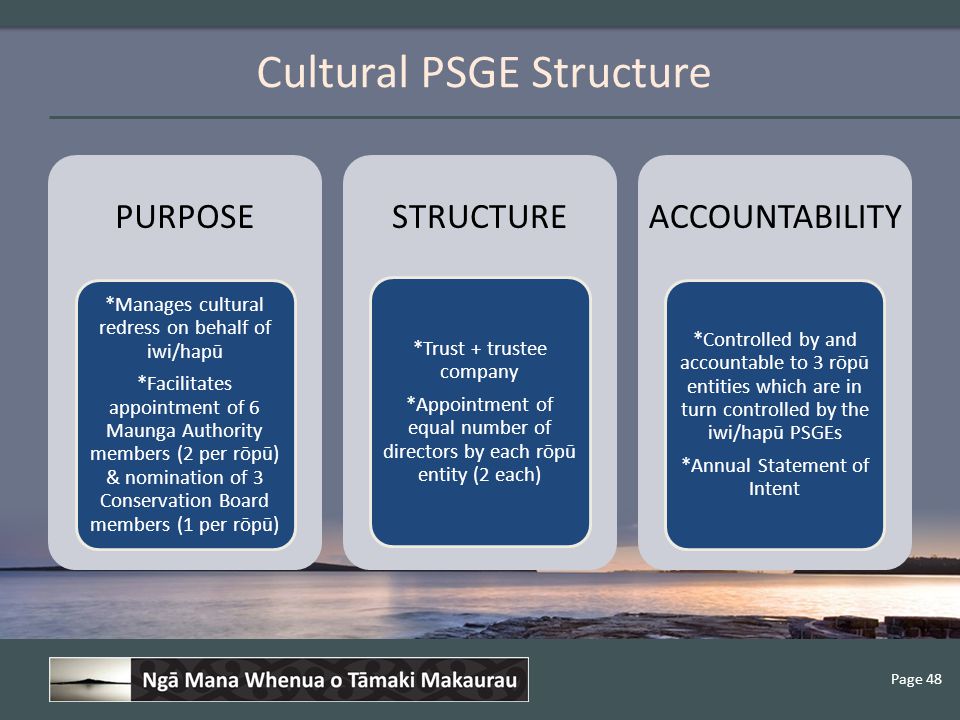 Page 48 Cultural PSGE Structure PURPOSE *Manages cultural redress on behalf of iwi/hapū *Facilitates appointment of 6 Maunga Authority members (2 per rōpū) & nomination of 3 Conservation Board members (1 per rōpū) STRUCTURE *Trust + trustee company *Appointment of equal number of directors by each rōpū entity (2 each) ACCOUNTABILITY *Controlled by and accountable to 3 rōpū entities which are in turn controlled by the iwi/hapū PSGEs *Annual Statement of Intent