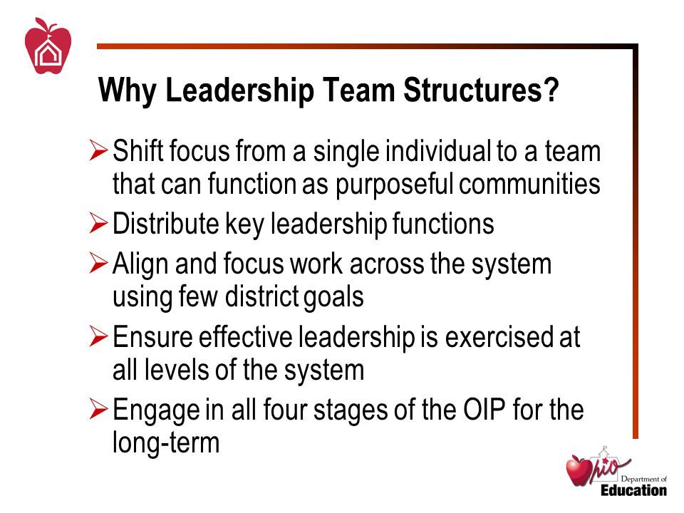 Why Leadership Team Structures.