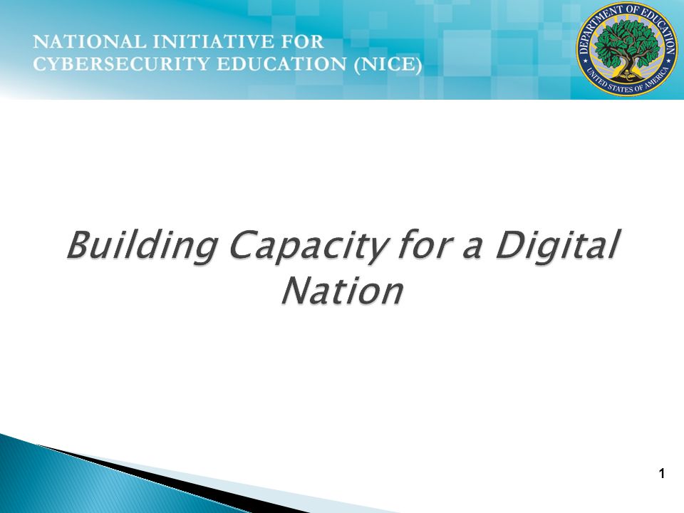 1 Building Capacity for a Digital Nation