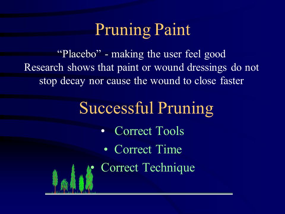 Pruning Paint Correct Tools Correct Time Correct Technique Placebo - making the user feel good Research shows that paint or wound dressings do not stop decay nor cause the wound to close faster Successful Pruning