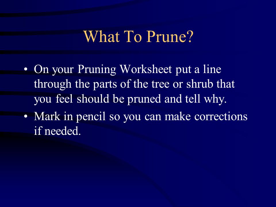 What To Prune.