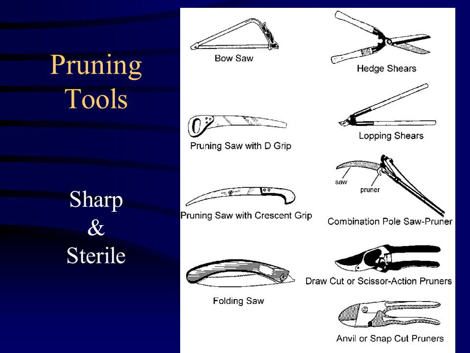Pruning Tools Sharp & Sterile