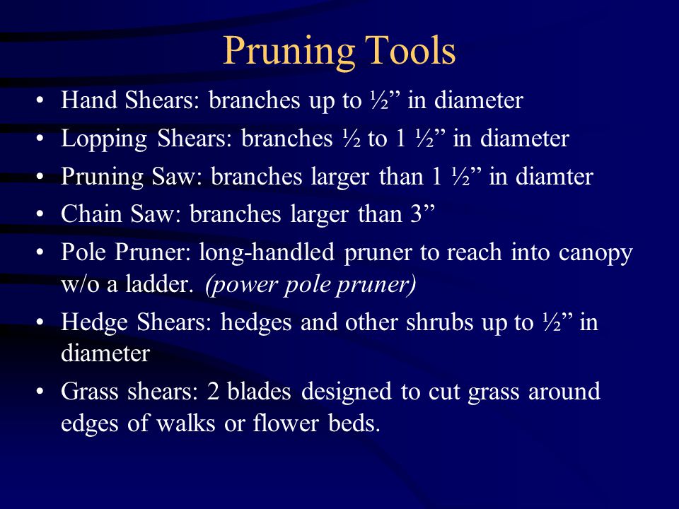Pruning Tools Hand Shears: branches up to ½ in diameter Lopping Shears: branches ½ to 1 ½ in diameter Pruning Saw: branches larger than 1 ½ in diamter Chain Saw: branches larger than 3 Pole Pruner: long-handled pruner to reach into canopy w/o a ladder.