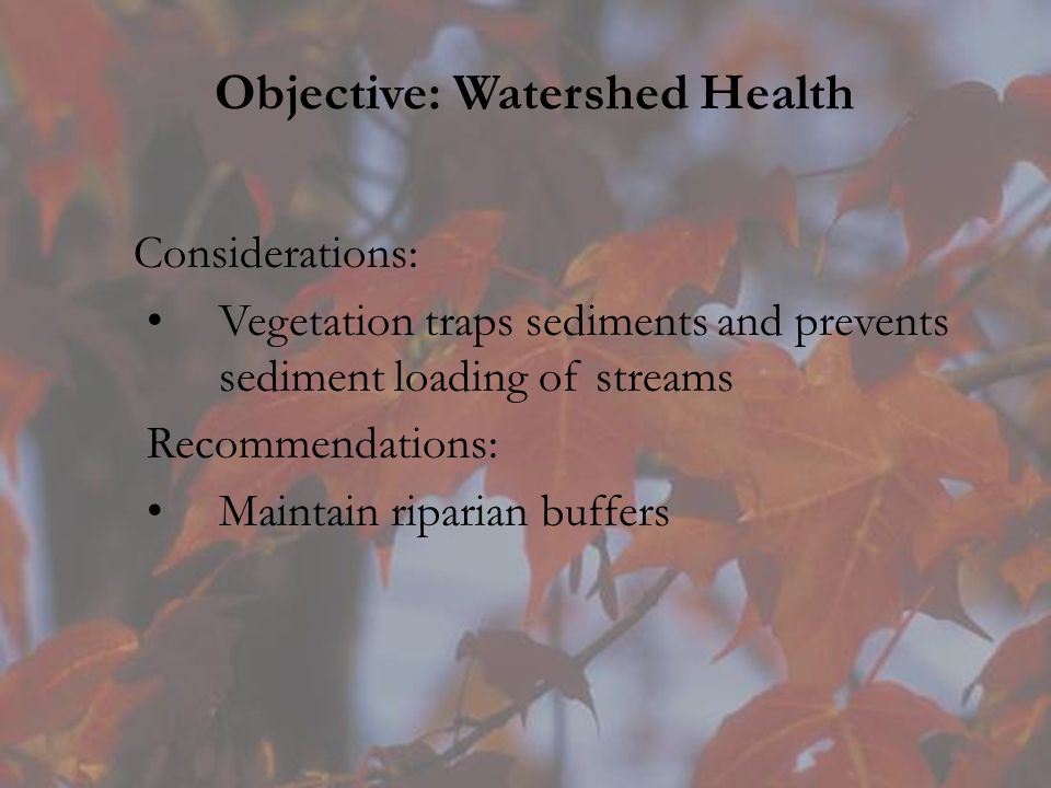 Objective: Watershed Health Considerations: Vegetation traps sediments and prevents sediment loading of streams Recommendations: Maintain riparian buffers