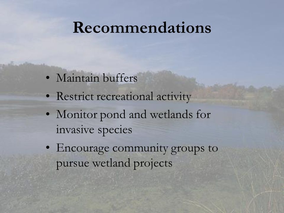 Recommendations Maintain buffers Restrict recreational activity Monitor pond and wetlands for invasive species Encourage community groups to pursue wetland projects
