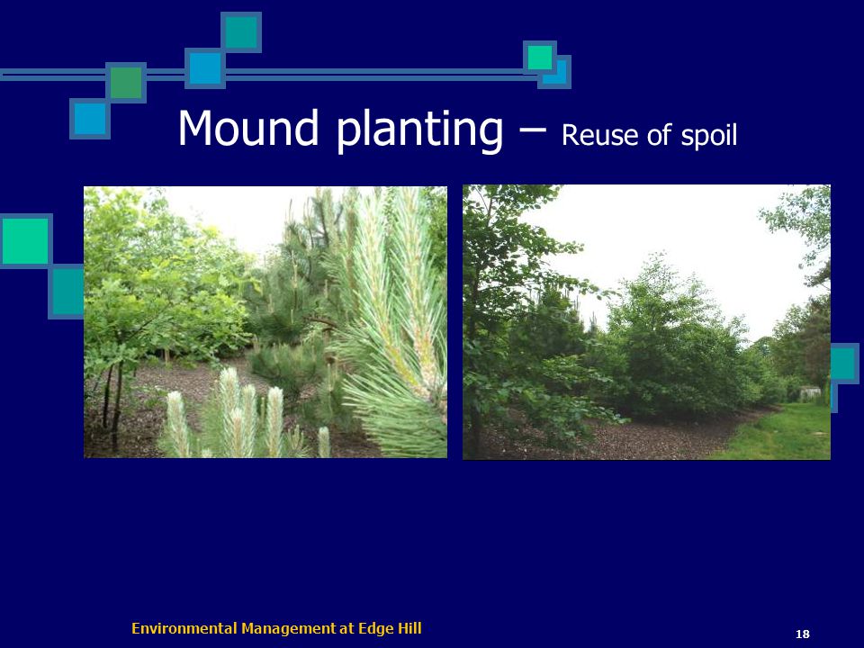 Environmental Management at Edge Hill 18 Mound planting – Reuse of spoil