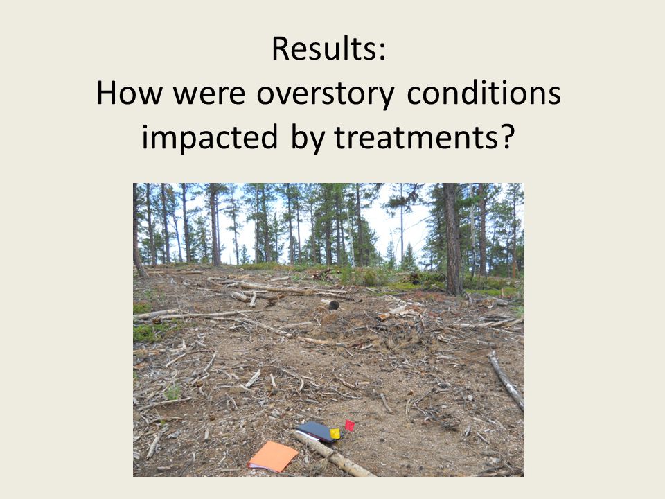 Results: How were overstory conditions impacted by treatments