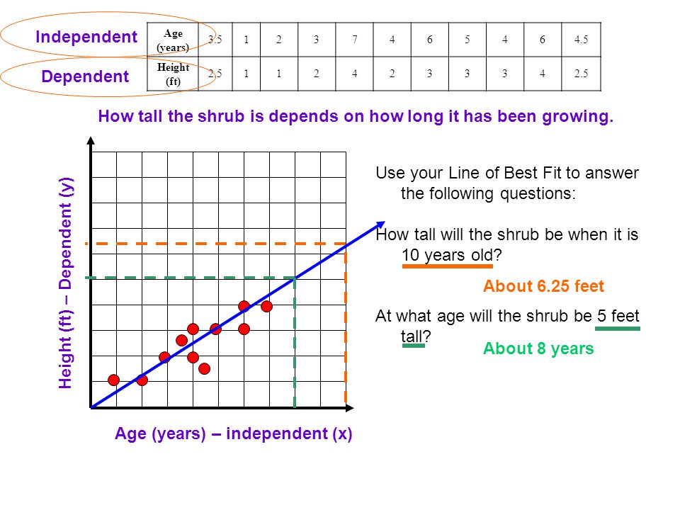 Age (years) Height (ft) Independent Dependent How tall the shrub is depends on how long it has been growing.