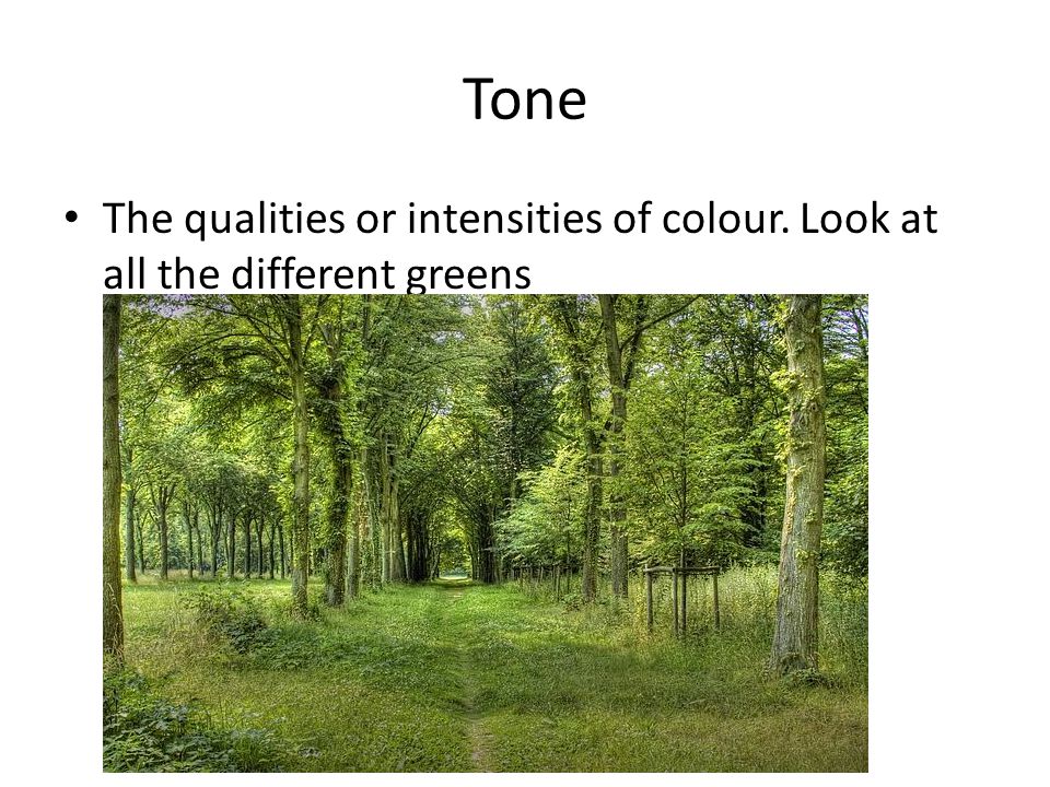 Tone The qualities or intensities of colour. Look at all the different greens