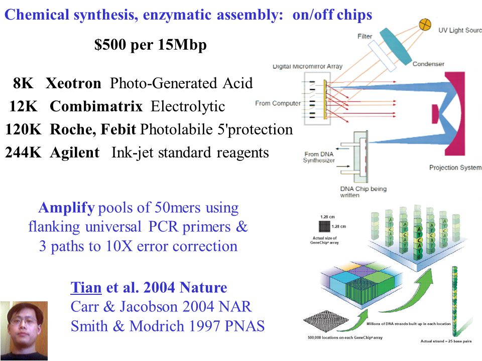 5 Chemical synthesis, enzymatic assembly: on/off chips 8K Xeotron Photo-Generated Acid 12K Combimatrix Electrolytic 120K Roche, Febit Photolabile 5 protection 244K Agilent Ink-jet standard reagents Tian et al.